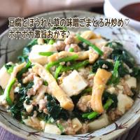 🆔472602                                                                #豆腐とほうれん草の味噌ごまとろみ炒め 💕